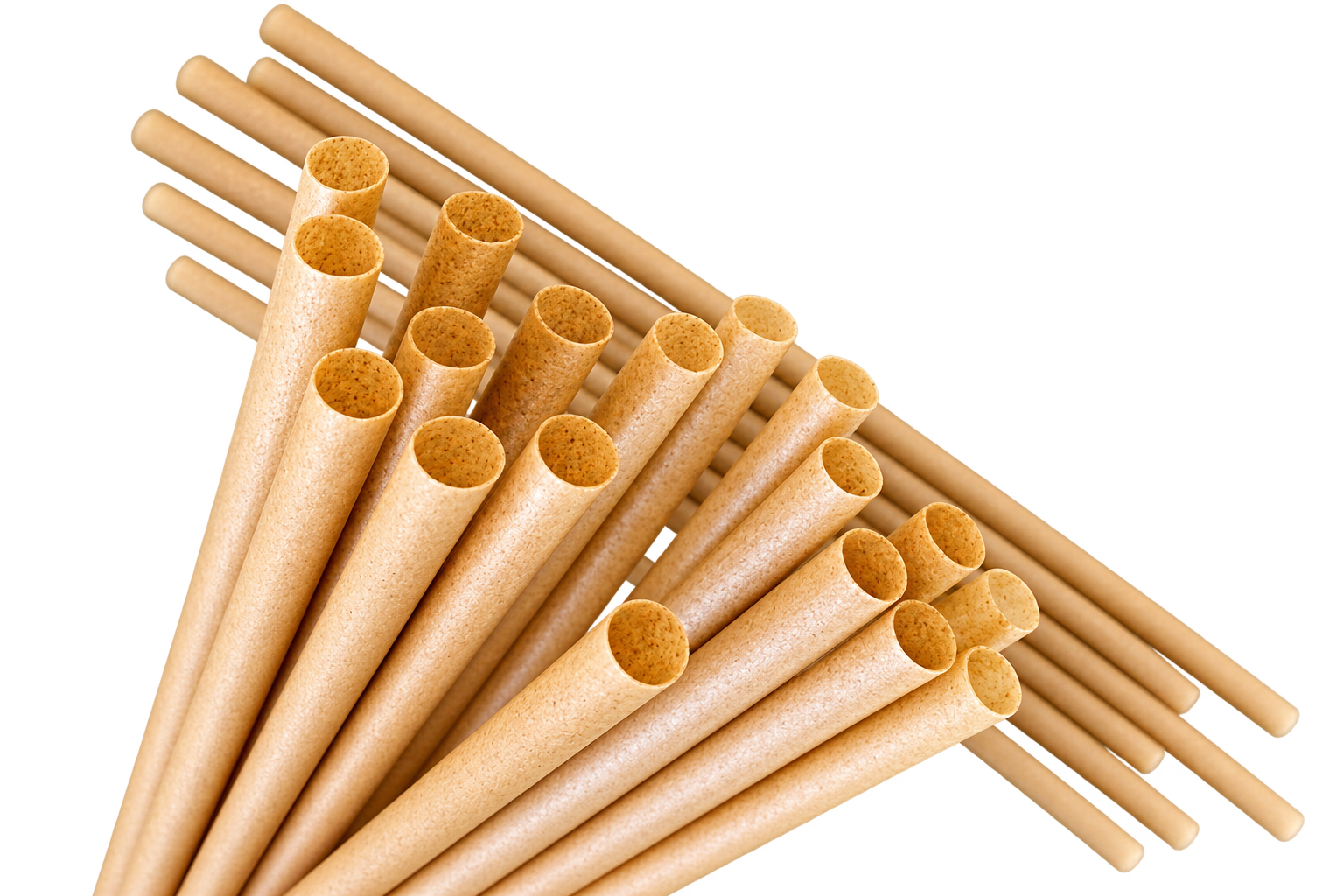 Raw sugarcane bagasse used to make WeSea sugarcane straws